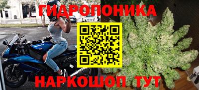 таблы Краснознаменск