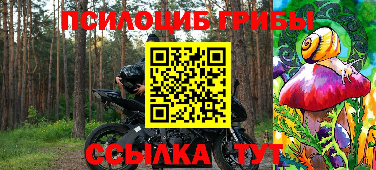 Кириши  Галлюциногенные грибы GOLDEN TEACHER  Вход с VPN 